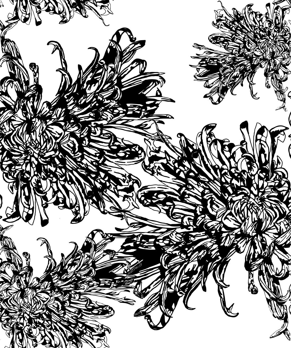 Narnie • Black & White Flower Wallpaper