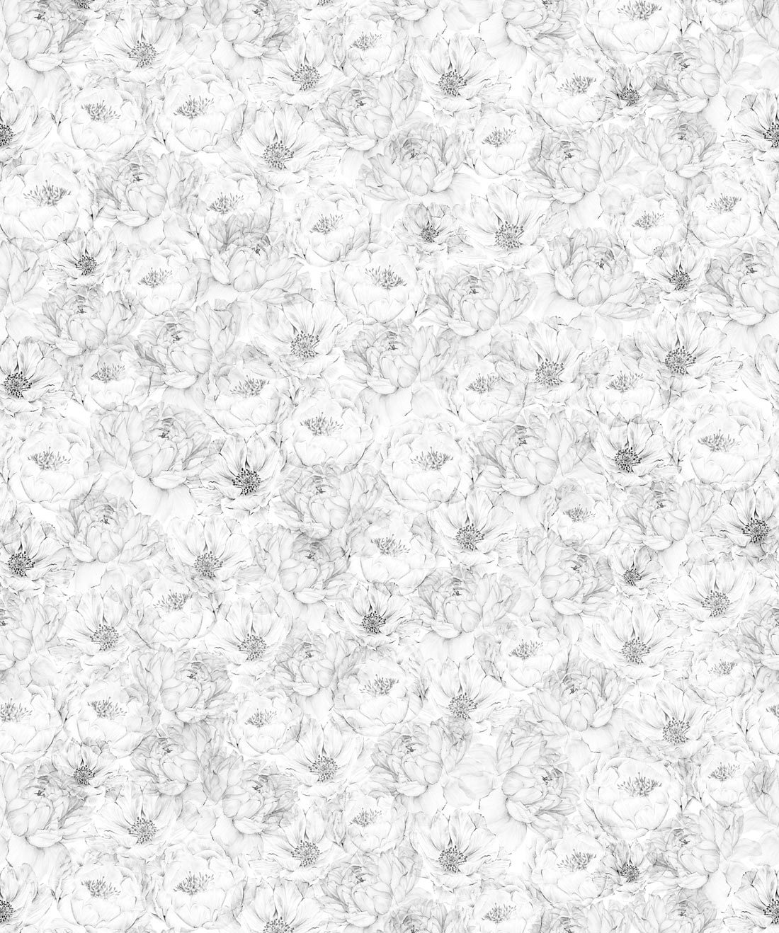 Peonie e anemoni - Carta da parati floreale bianca