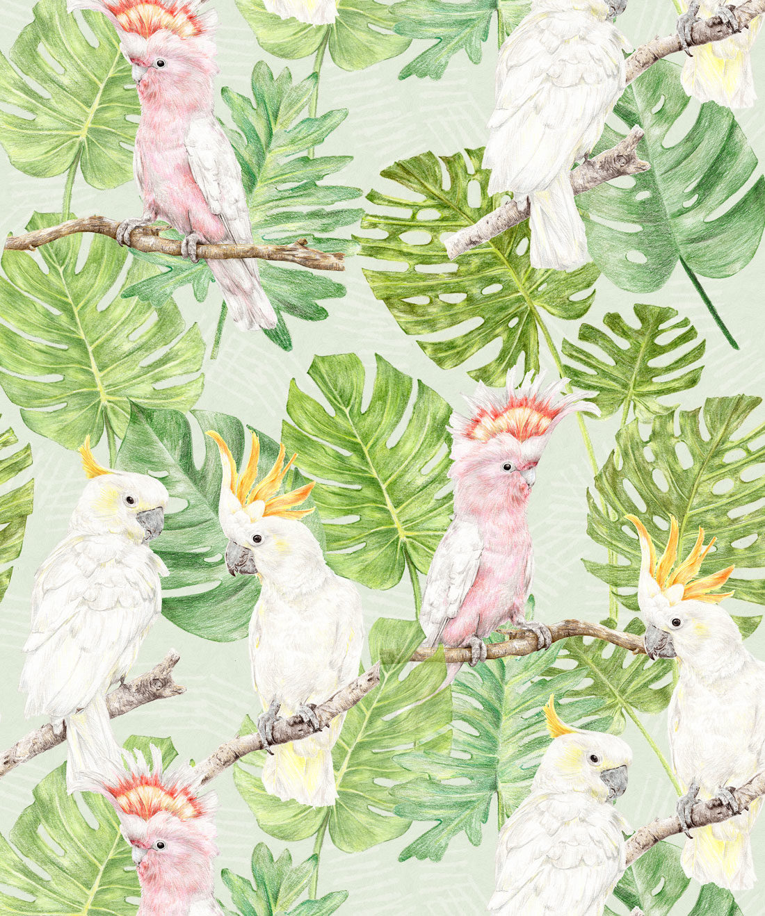Cacatoès tropicaux - Papier peint oiseaux lumineux