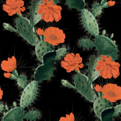 Cactus Red Night