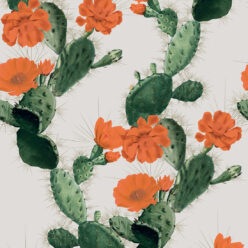 Alluring Cactus wallpaper Red day
