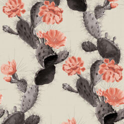 Cactus Twilight Pink
