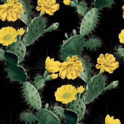 Cactus Yellow Night