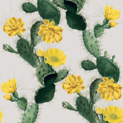 Cactus Yellow Day