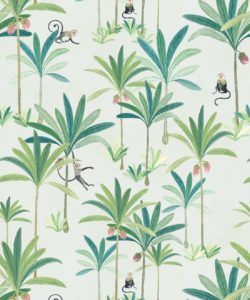 Monkey Palm