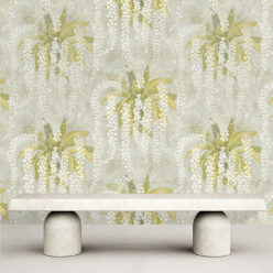 Orchid Wallpaper