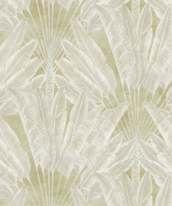 Travelers Palm Wallpaper