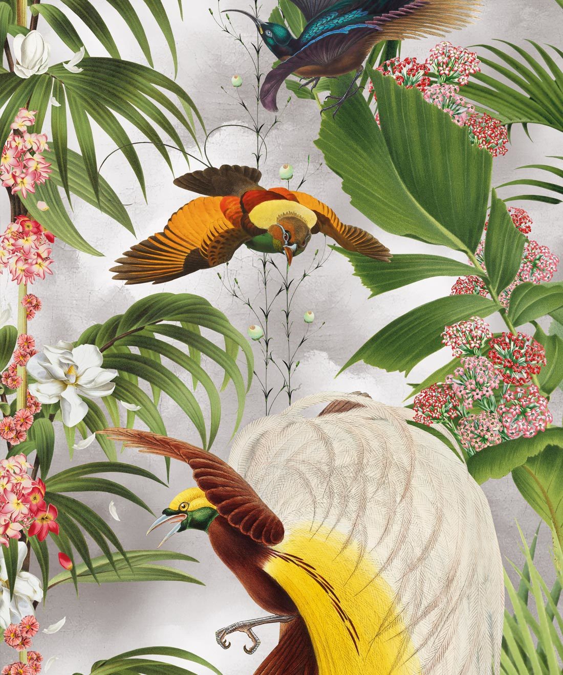 Paradiso Wallpaper - Tropische Botanical Wallpaper mit exotischen Vögeln und Palmen