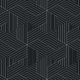 Matte Black Geometric Illusions • Milton & King