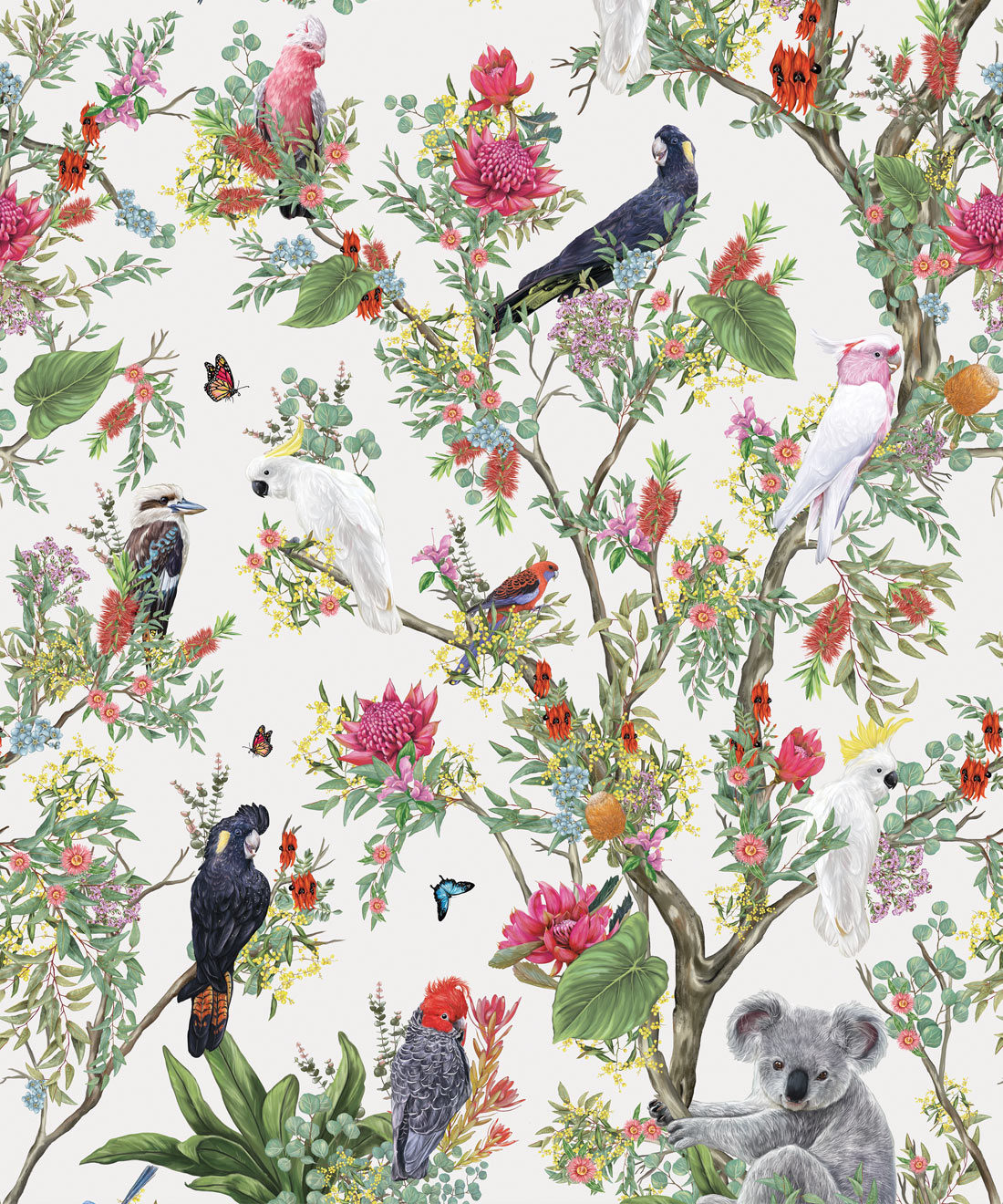 Australia Wallpaper • Cockatoos, Koalas, Parrots, Finches • Milton & King Europe • Canvas Wallpaper Swatch