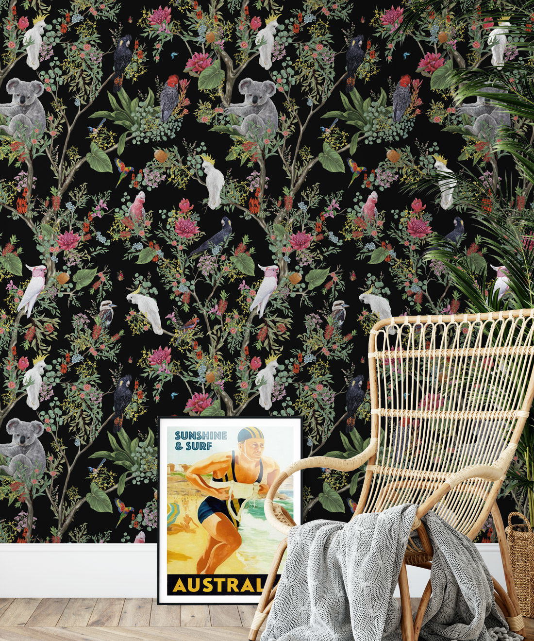 Australia Wallpaper • Cockatoos, Koalas, Parrots, Finches • Milton & King USA • Black Wallpaper Insitu