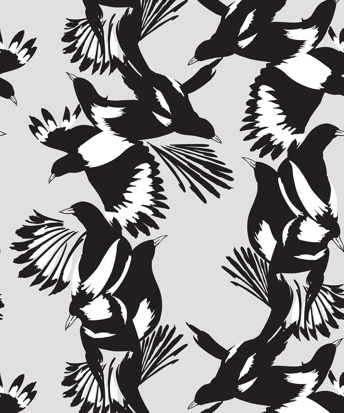 Magpie Wallpaper - Milton & King - Kingdom Home - Vogeltapete - Schwarz-Weiß-Muster
