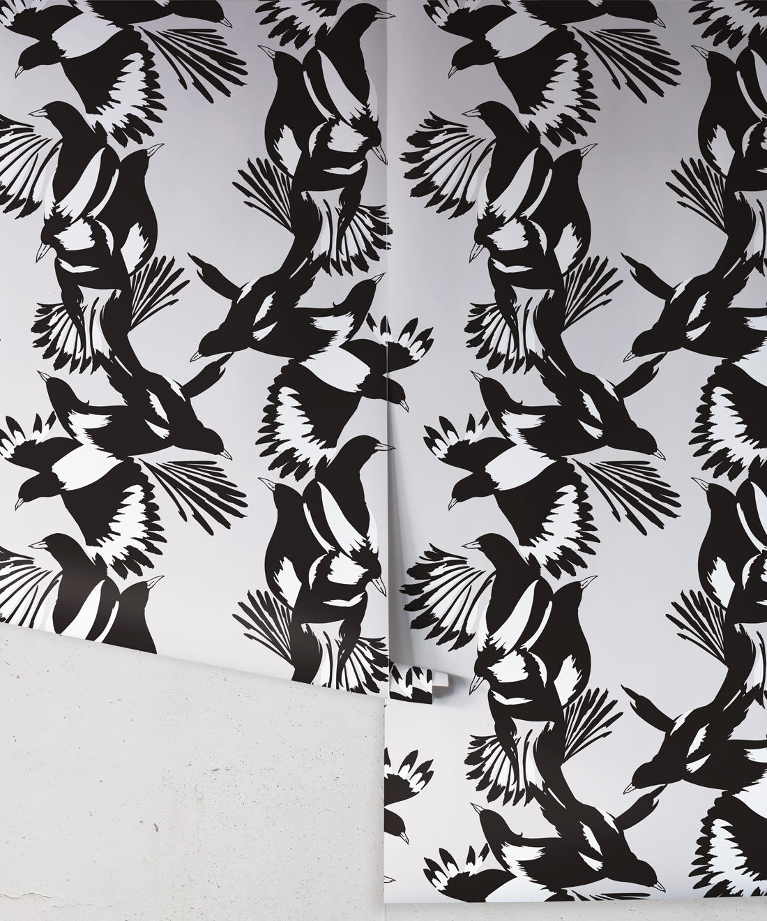 Magpie Wallpaper - Milton & King - Kingdom Home - Papier peint oiseau - Rouleau noir et blanc