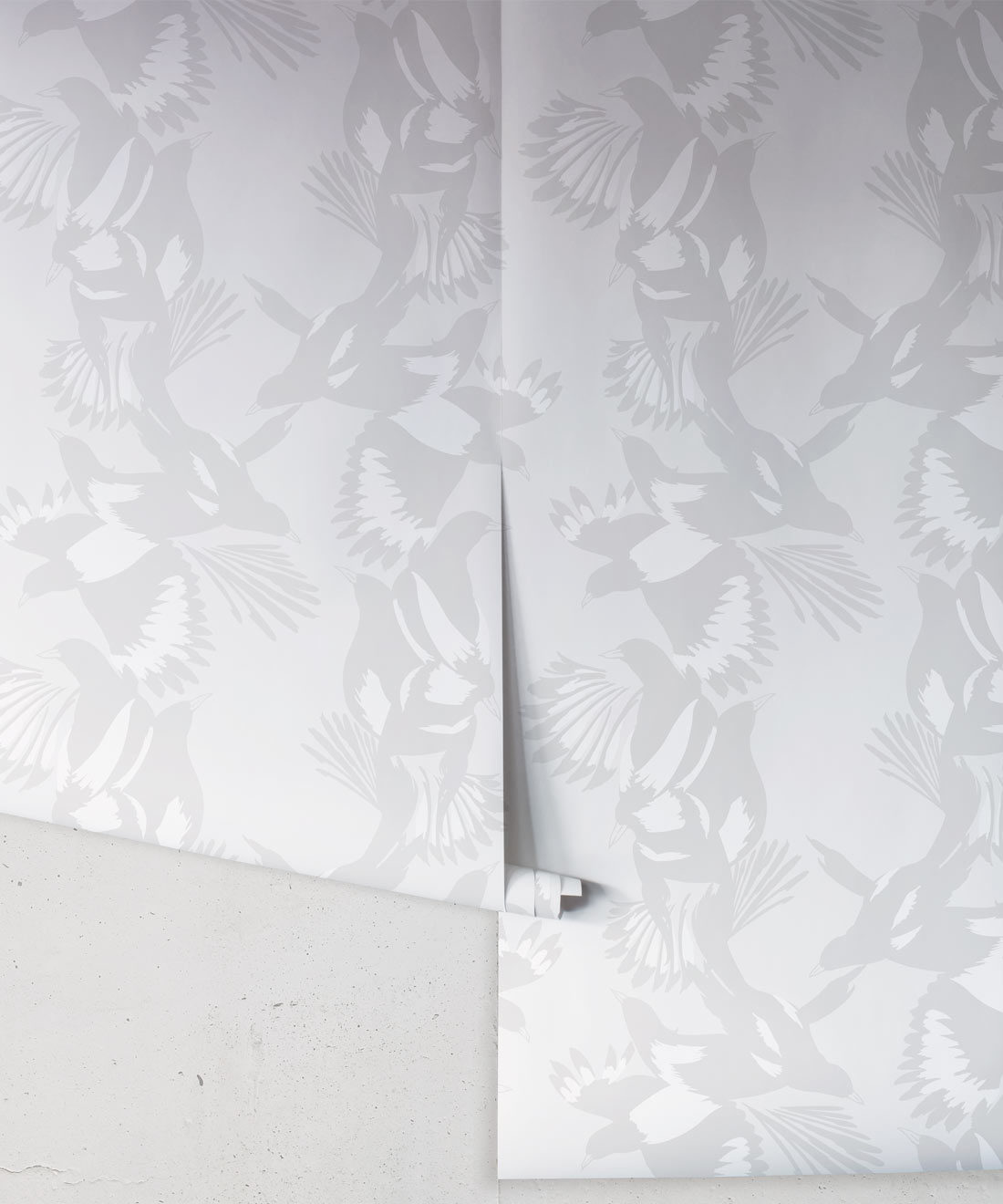 Magpie Wallpaper - Milton & King - Kingdom Home - Papier peint oiseaux - Bondi Rouleau gris