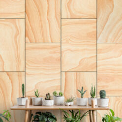 Ply Wood Wallpaper • Light Brown Wallpaper • Wood Grain Wallpaper with a table with a display of small cacti