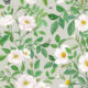 Rosa Wallpaper • Floral Wallpaper • Beige • Swatch