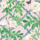 Treilage Wallpaper • Floral Wallpaper • Blush • Swatch
