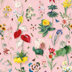 Jolie Wallpaper • Floral Wallpaper • Ribbon • Swatch