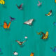 Papilio Wallpaper • Butterfly Wallpaper With Butterflies • Peacock • Swatch