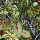 Verde Wallpaper - Green Blatt-Tapete - Botanical Wallpaper - Sprout - Swatch