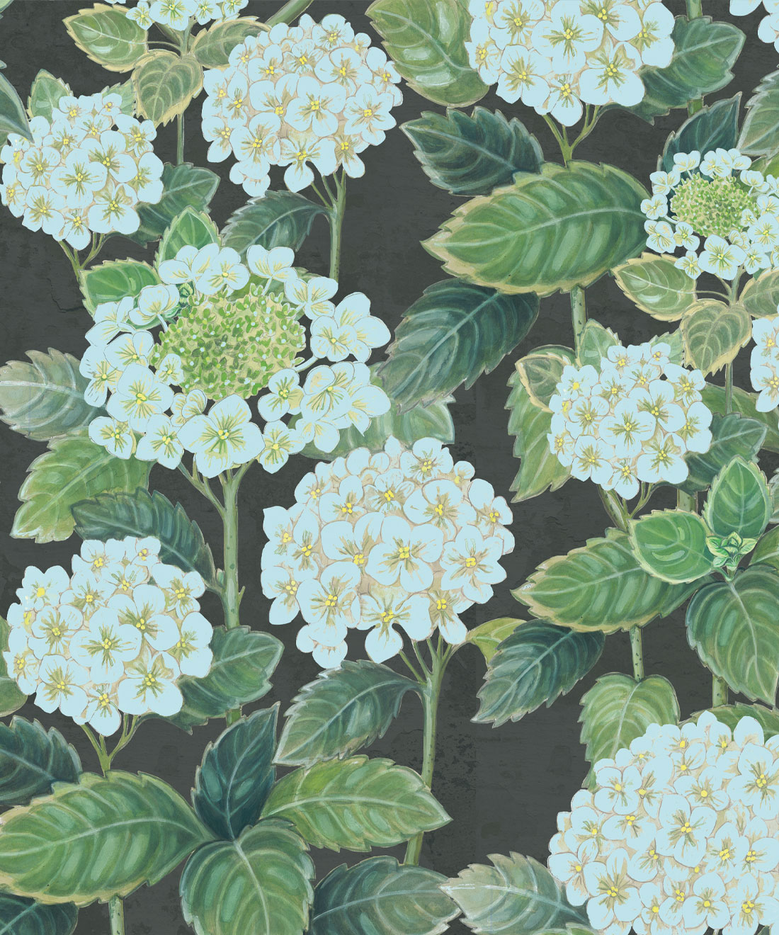 Hydrangea Garden Wallpaper • Charcoal • Swatch