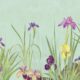 Iris Garden Mural • Blue • Swatch
