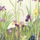 Iris Garden Mural - Beige - Echantillon