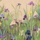 Iris Garden Mural - Rose - Swatch