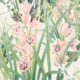 Papel pintado Orquídeas de jardín - Beige - Muestrario