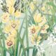 Carta da parati Garden Orchids - Blu - Campionario