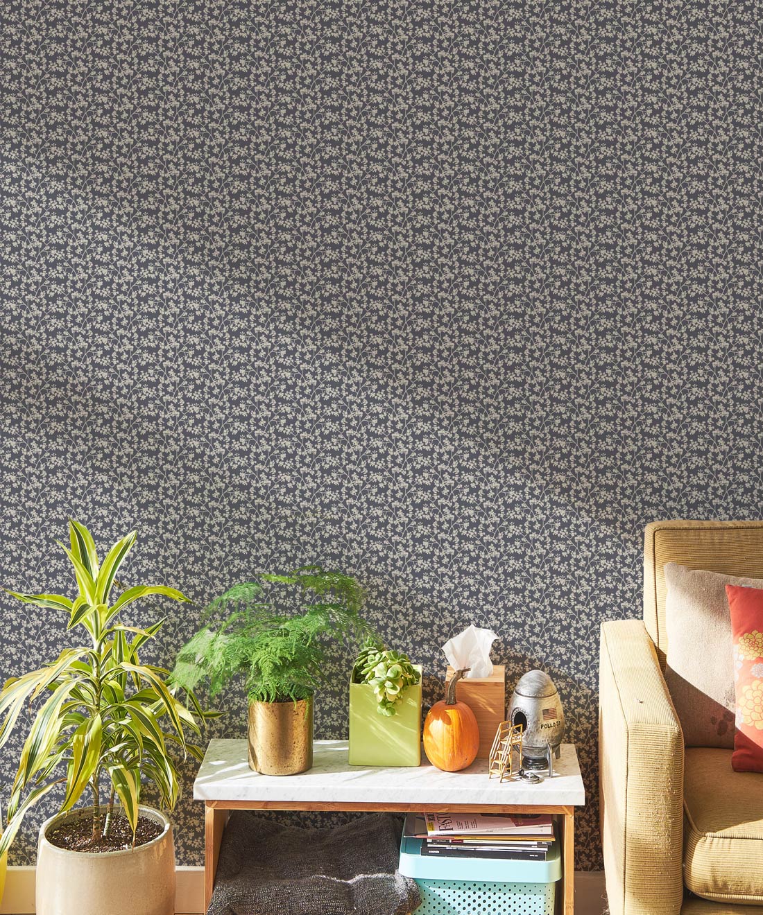 Seed Scattering Wallpaper • Hackney & Co. • Slate Grey • Insitu