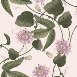 Passiflora Wallpaper • Beige • Swatch