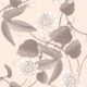 Passiflora Wallpaper - Sand - Swatch