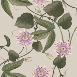 Passiflora Wallpaper • Stone • Swatch