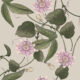 Passiflora Wallpaper - Stone - Echantillon
