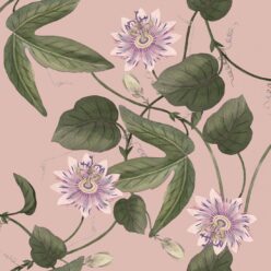 Passiflora Wallpaper • Warm Pink • Swatch