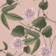 Passiflora Wallpaper - Warm Rose - Échantillon