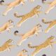 Amazon Big Cat Wallpaper - Jaguars & Pumas - Warm Grigio - Swatch