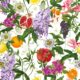 Summer In Sicily Wallpaper - Kip&Co - Papier peint Fruit - Blanc - Swatch