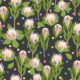 Protea Party Wallpaper - Fruity Black - Échantillon