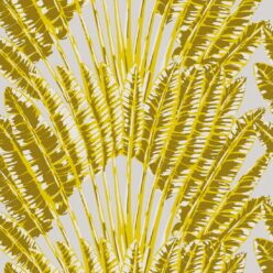 Golden Palm