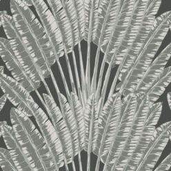 Night Palm