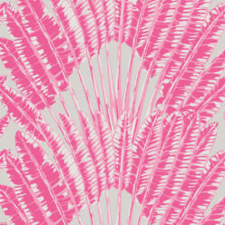 Pink Breeze
