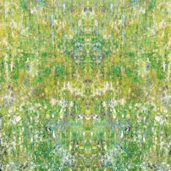 Moss