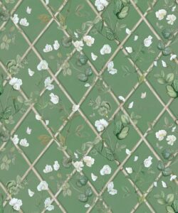 Petite Climbing Sweet Pea Wallpaper • Dark Green & Cane • Swatch