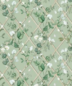 Petite Climbing Sweet Pea Wallpaper • Sage & Cane • Swatch