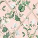 Grande Climbing Sweet Pea Wallpaper - Rosa - Muestra
