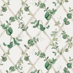 Irish Linen & Cane