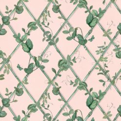 Pink & Green