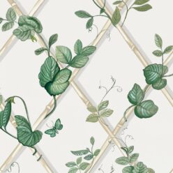 Irish Linen & Cane